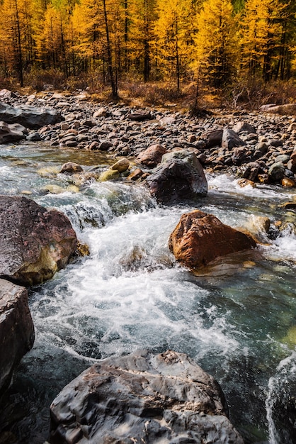 Autumn in Aktru River Valley. Severo-Chuysky ridge, Altai, Russia