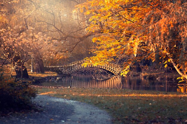 Autumn alley with trees and benches in the park