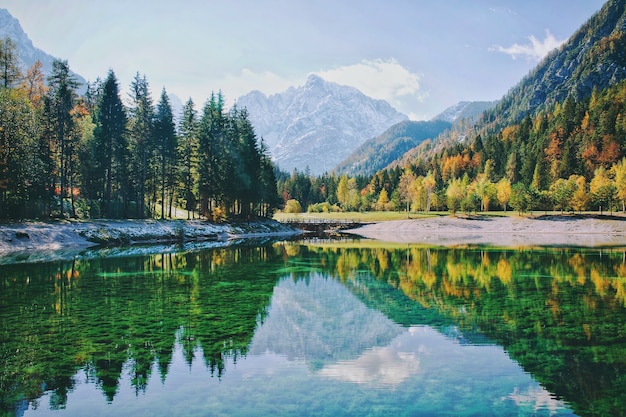 緑の湖の穏やかな水に反映された日の秋のアルプスの山々