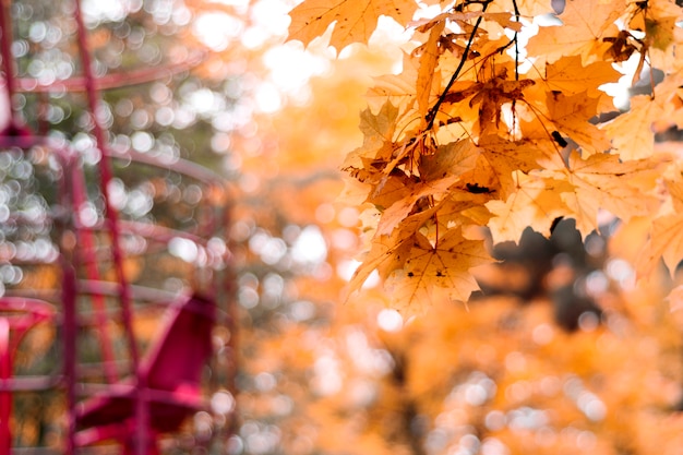 autumn in the amusement park