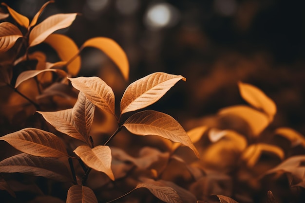 Осенняя атмосфера опавших листьев