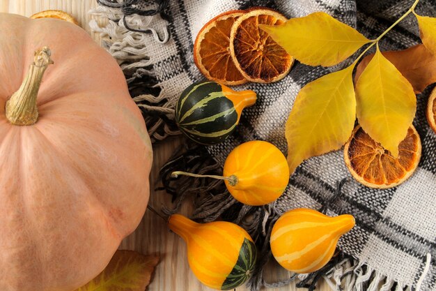 Autumn. autumn composition with a warm plaid, yellow leavesmin, decorative pumpkins and apples on a natural wooden background. top view