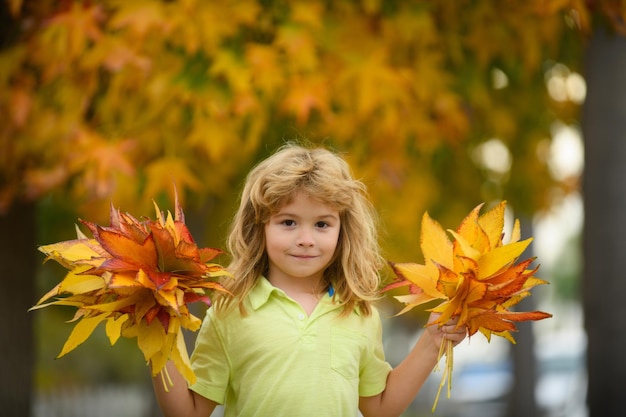 Autumn baby portrait on fall yellow leaves background child kid in park outdoor october september se
