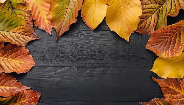 Autumn background autumn leaves on a wooden background