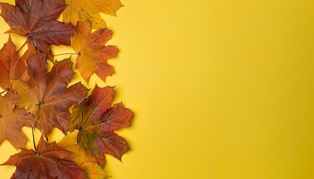 Autumn background autumn leaves on a yellow background