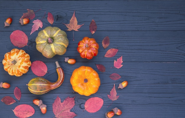 Autumn background autumn mood Bright multicolored pumpkins leaves and acorns on a dark wooden table Top view with copy space