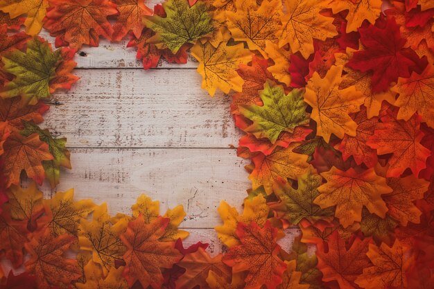 Photo autumn background border leaf on old white vintage wooden floor