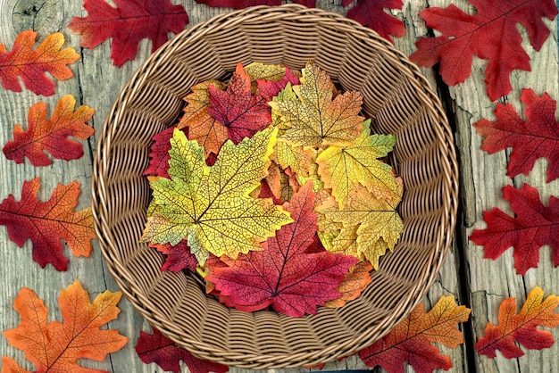 Autumn background concept-close up of a basket with colorful autumn leaves.
