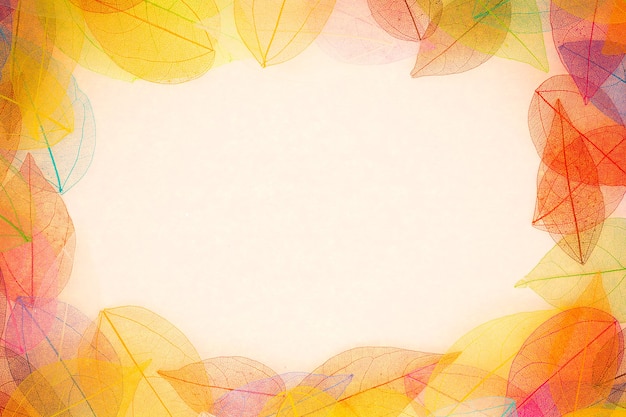 Autumn background. Fall leaves frame