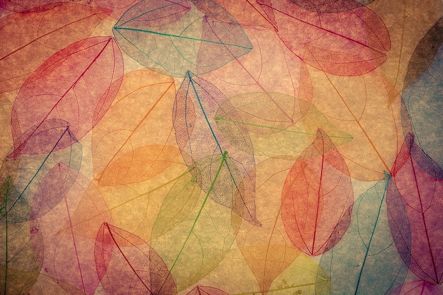 Осенний фон. Осенние листья текстуры