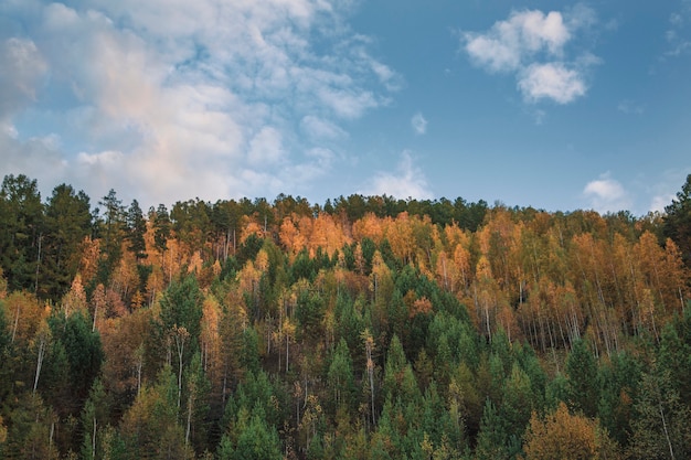 Autumn background - forest-covered mountains, blue sky, white clouds with copy space.