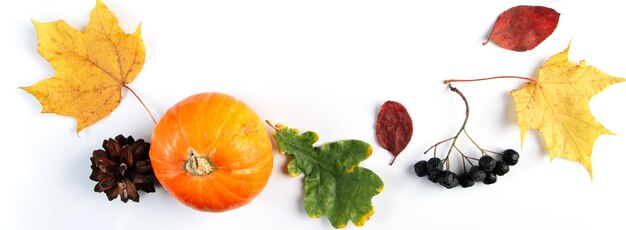 Autumn background from leaves berries and pumpkins Colorful seasonal composition on white background