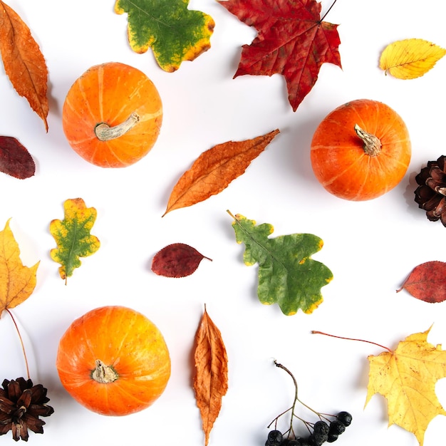 Autumn background from leaves berries and pumpkins Colorful seasonal composition on white background