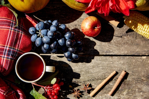 Autumn background grapes apples viburnum currant mug of tea and cinnamon sticks with high angle shadows on wooden table Thanksgiving Day concept Outdoor autumn aesthetic Copy space