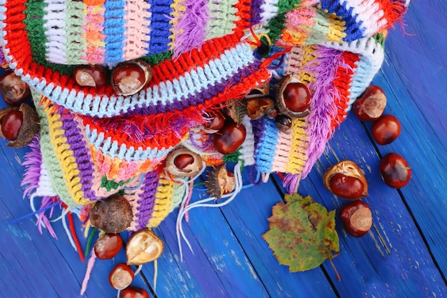 Autumn background. Horse chestnuts on crocheted bright warm striped plaid on blue wooden boards.