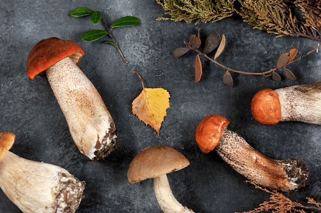 Autumn background of mushrooms