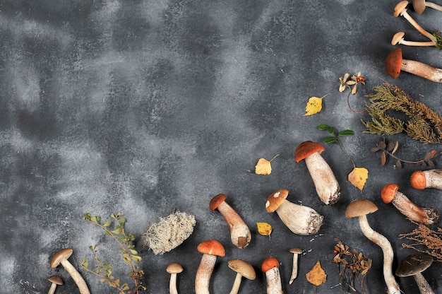 Autumn background of mushrooms