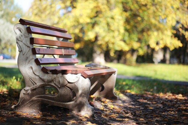 Autumn background in the park during the day