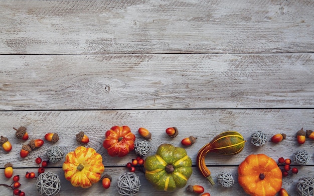 Autumn background pumpkins acorns on wooden boards with copy space