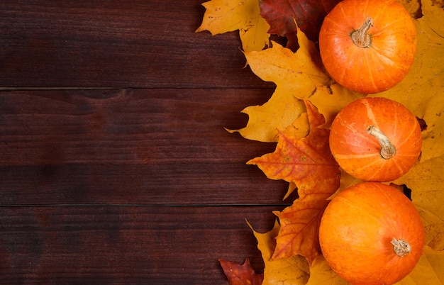 Autumn background Ripe pumpkins and yellow fallen leaves Harvest and Thanksgiving concept Halloween