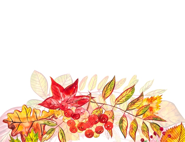 Autumn  background. Seasonal illustrations..watercolor illustration.