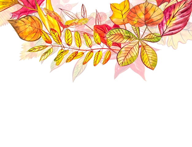 Autumn  background. Seasonal illustrations..watercolor illustration.