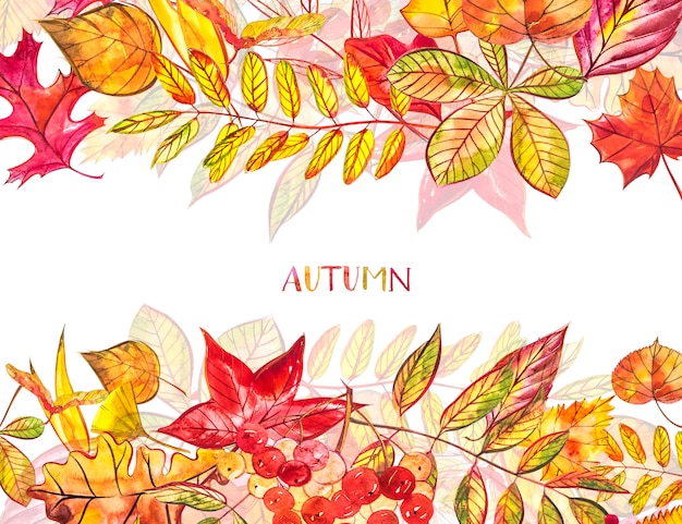 Photo autumn  background. seasonal illustrations..watercolor illustration.