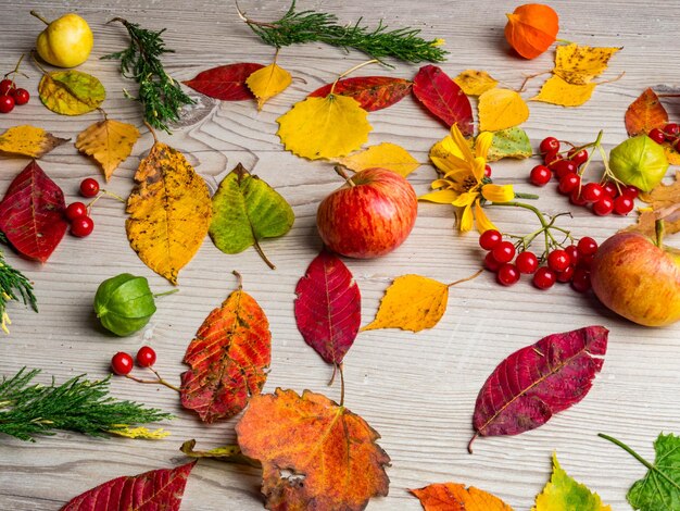 写真 秋の背景 カラフルな紅葉のスタイリッシュな構成は、木製の背景にリンゴの果実をトップ ビュー