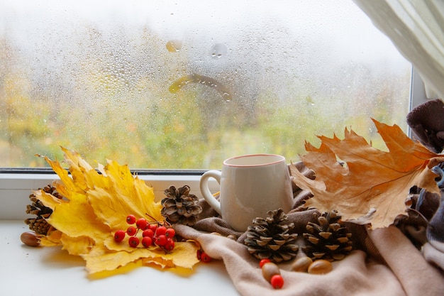 Sfondo autunnale, tazza da tè sulla finestra in autunno, foglie di autunno