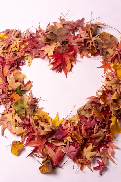 Autumn background top view of colored heart of leaves isolated on white background