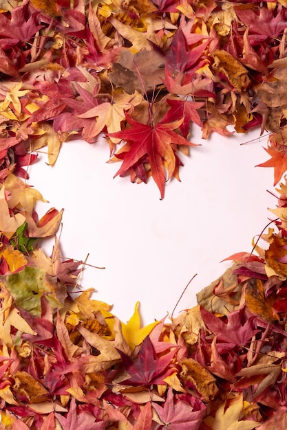 Autumn background top view of colored heart of leaves isolated on white background