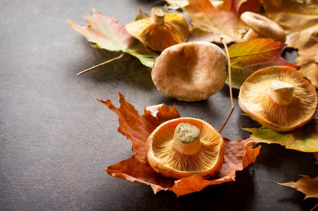 Autumn background with autumn mushrooms and berries on  slate background Copy space