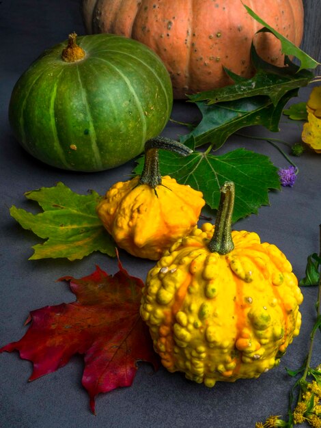 Autumn background with colored leaves different pumpkins