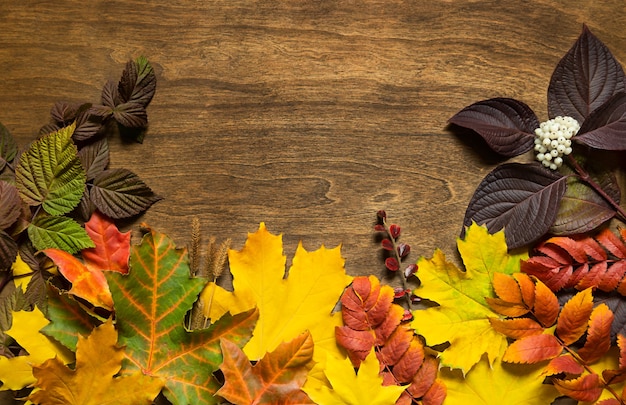 Autumn background with colored leaves on wooden board.