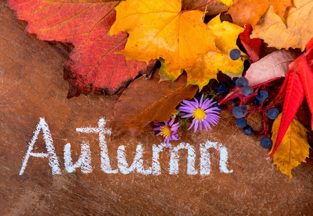 Autumn background with colored leaves on wooden board.