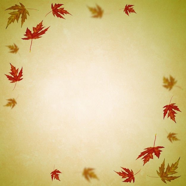 Autumn background with colored leaves