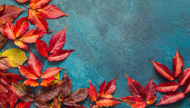 autumn background with colored red leaves on blue slate background top view copy space
