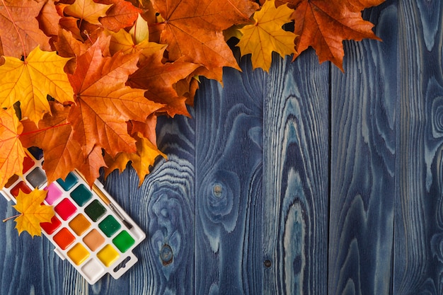 Autumn background with colour leaves on blue boards