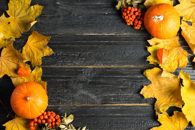 Autumn background with copyspace for thanksgiving. Autumn leaves and pumpkin