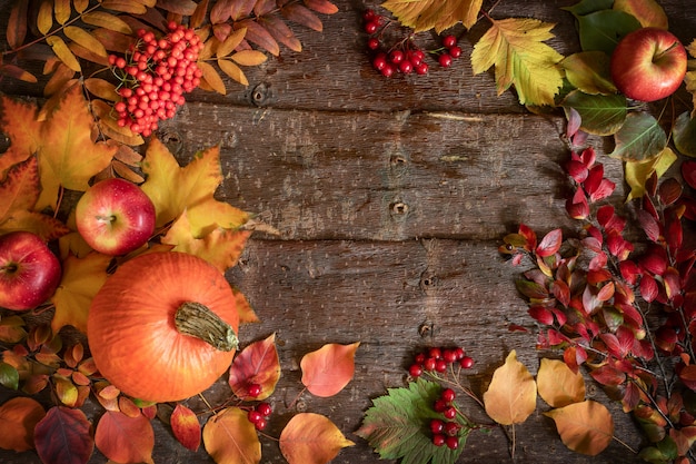 Autumn background with frame of pumpkin, apples, rowan and hawthorn berries and leaves on tree bark background.