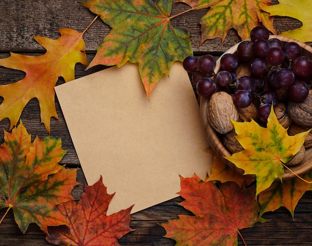 Autumn background with leaves, nut and grape