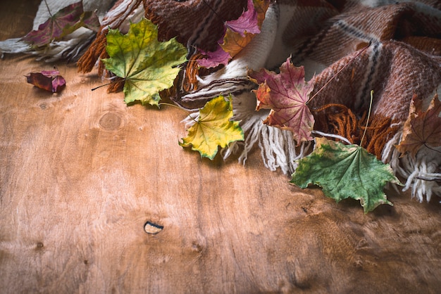 Autumn background with plaid and leaves