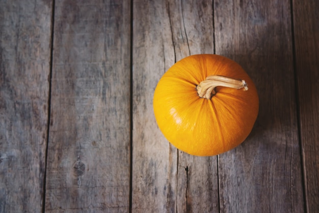 Sfondo autunnale con zucca. giorno del ringraziamento. messa a fuoco selettiva.