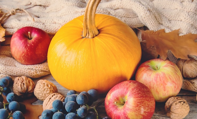 Autumn background with pumpkin