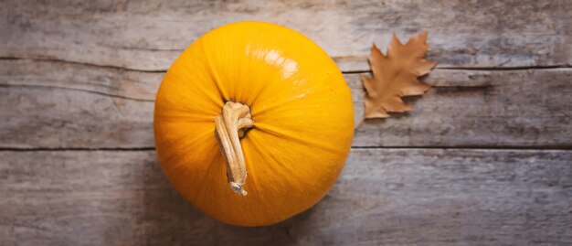 Foto sfondo autunnale con zucca