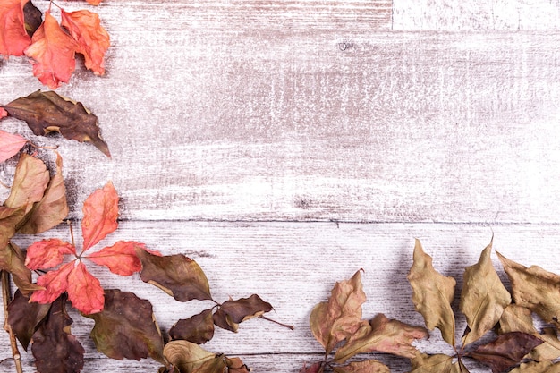 Autumn background with red leaves and copy space available