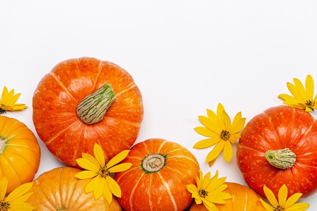 Autumn background with yellow flowers and orange pumpkins.