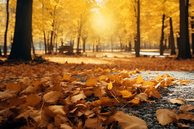 Autumn Background