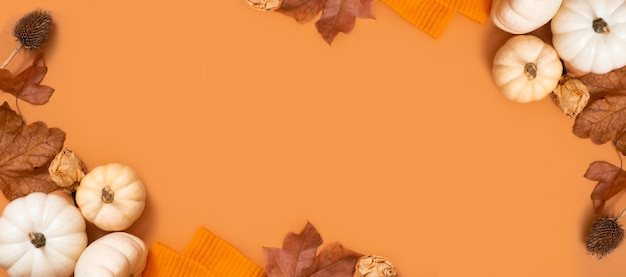 Autumn banner with frame from pumpkins and autumn leaves Autumn theme mock up for text