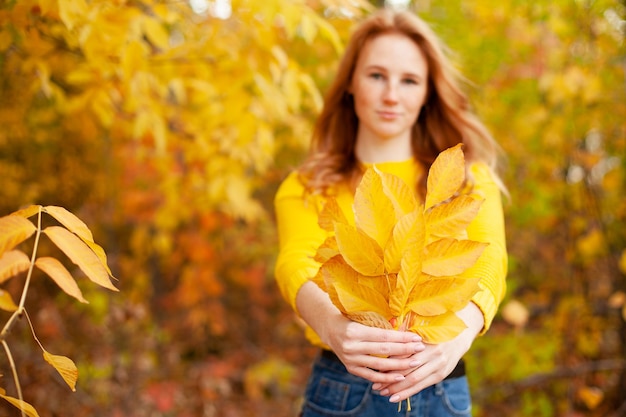 秋。美しい赤毛の少女は、秋の黄色の葉を手に持っています。公園で散歩する。そばかす。雰囲気。高品質の写真